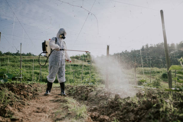Best Affordable Pest Control Services  in Rockton, IL