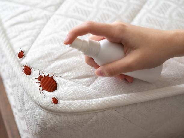 Best Pest Control Near Me in Rockton, IL